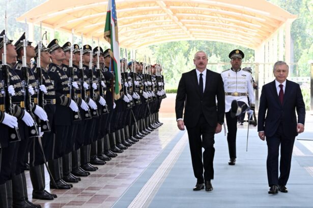 6ee93ed3fedd79bded7deba641384e29 1003338