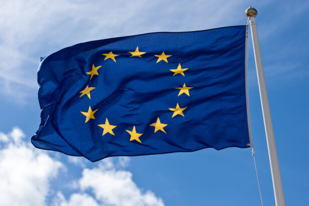 European union flag